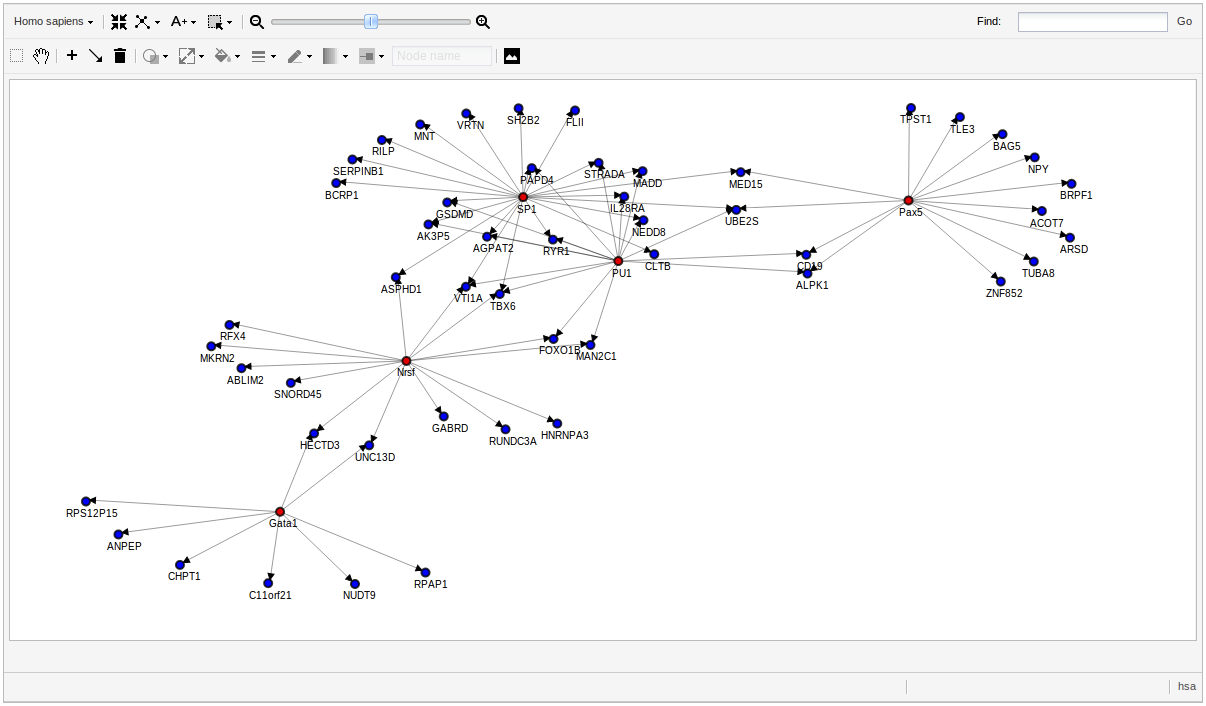 images:result:network.png