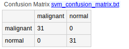 confusion matrix