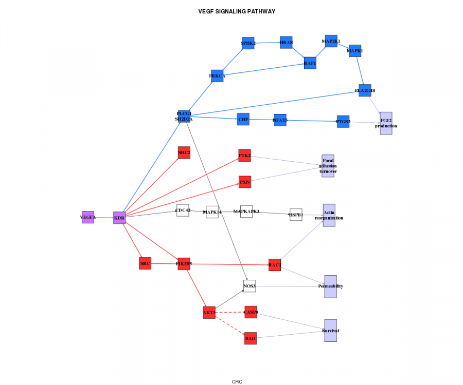 crc_hsa04370.pathwayresult.png